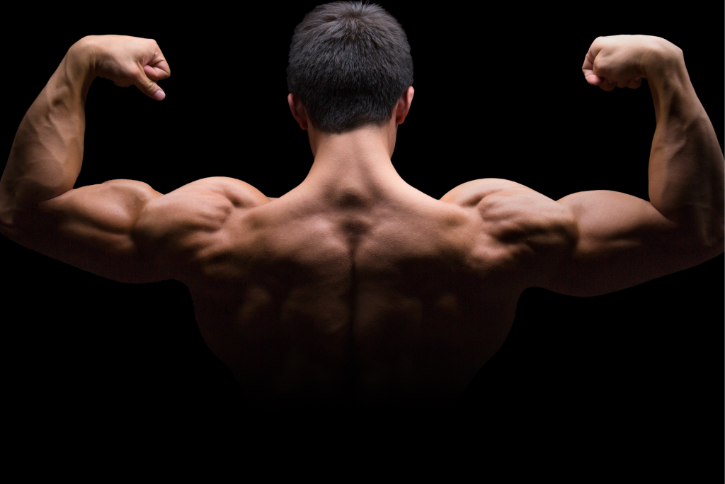 Muscular man flexing his back and arm muscles, representing strength and vitality achieved through testosterone therapy.